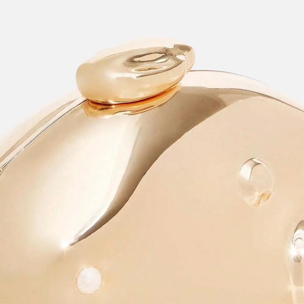 Acrylic Shell Clutch Bag